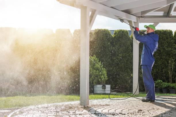 Best Roof Cleaning and Mildew Removal in Montevideo, MN